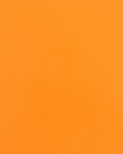 Baja Cage W/V Intrusion Orange
