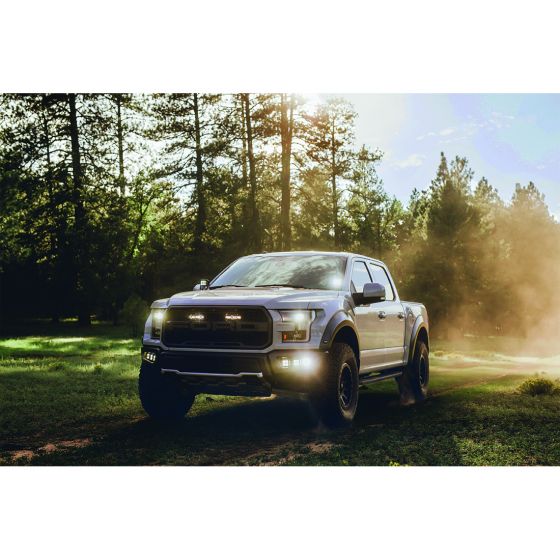 D- Series PRO Flood Surface Mount Black 2 Lights