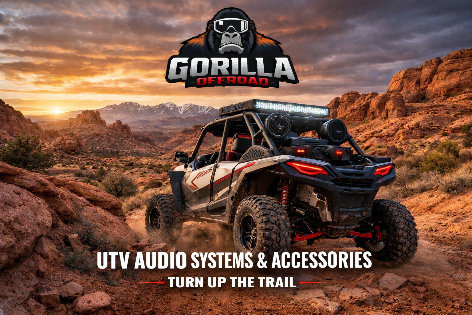 UTV SXS LED Lighted Whips
