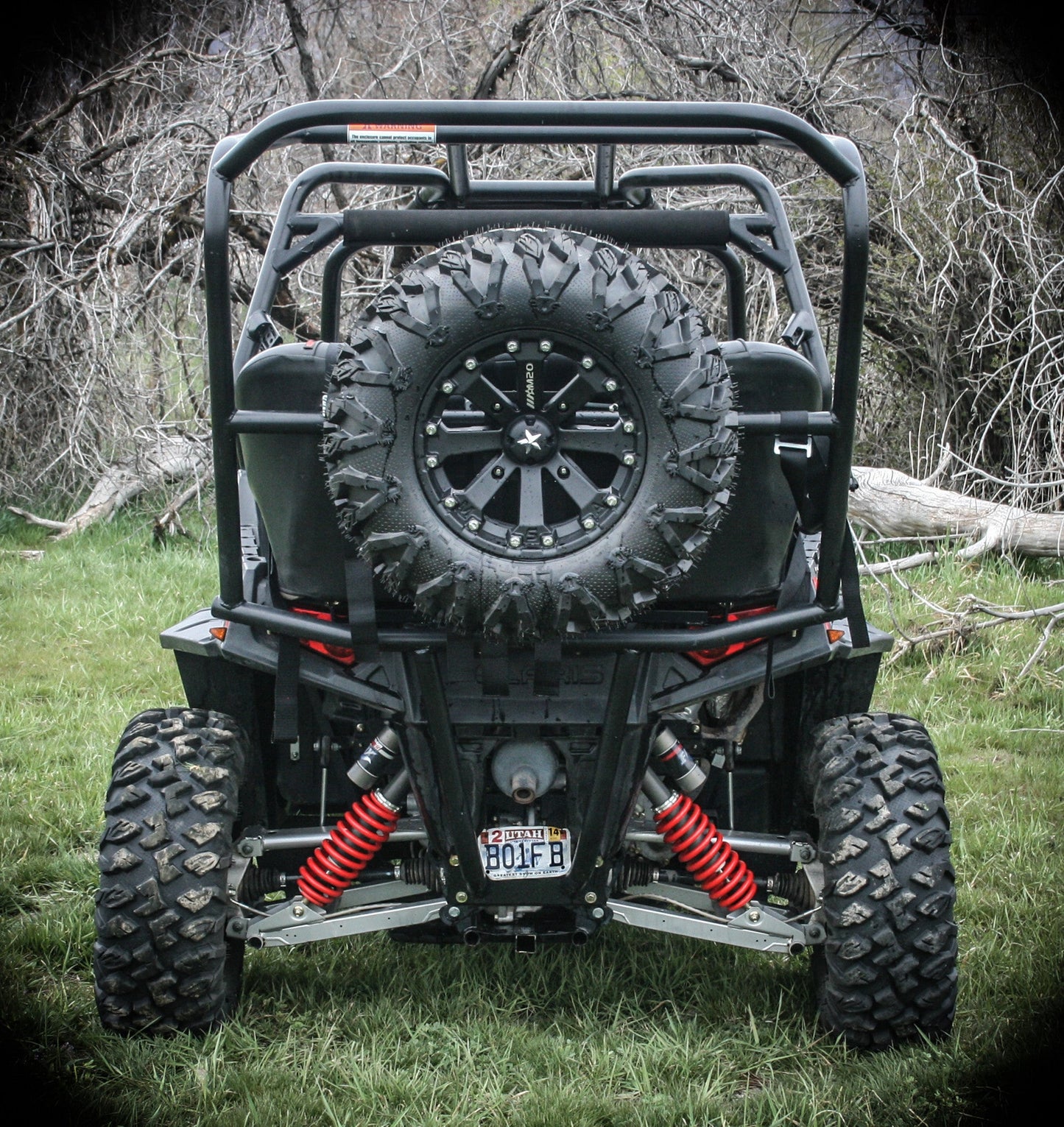 https://cdn.shopify.com/s/files/1/0366/5541/products/RZR_800_Spire_Tire_Rack_4.jpg?v=1659479501