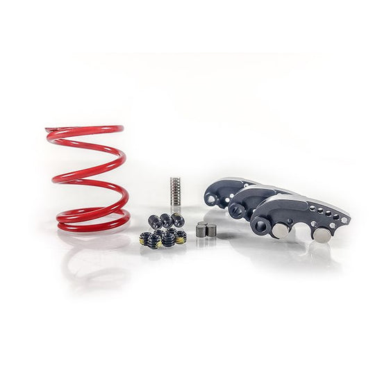 Bikeman Performance SNYPR Stage 1 Clutch Kit for RZR 900/1000S