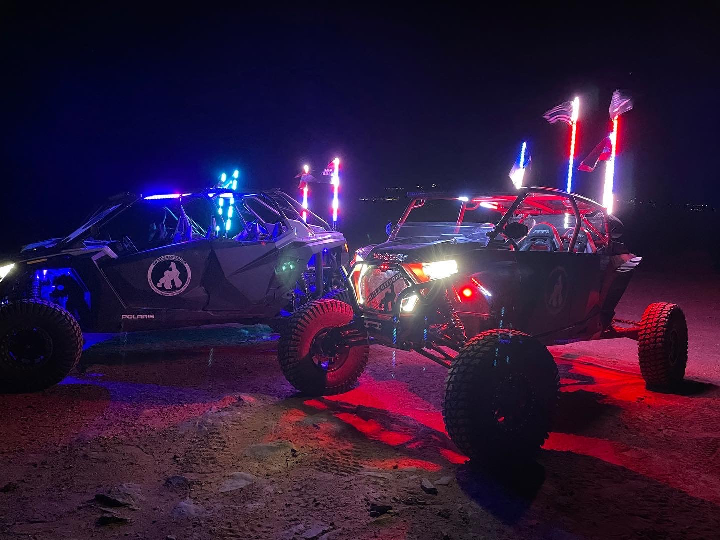 Elite HD LED Whip (Single) - Full Vehicle Lighting Packages (15% Off Rock Lights & Strips W/ LED Whips)