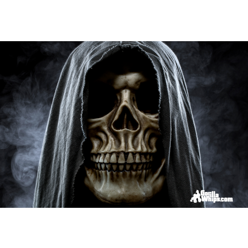 Robe Skull 2' x 3' Grommet Flag