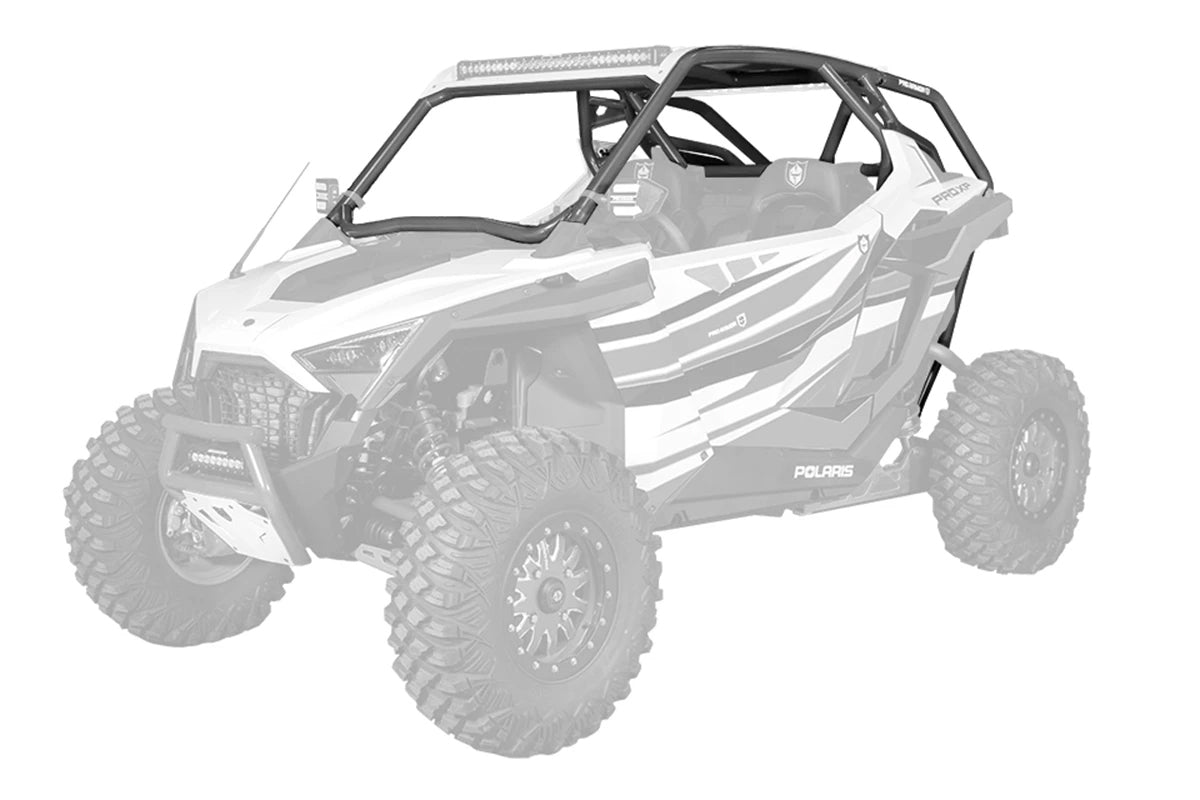 Pro Xp Cage W/No Intrusion Titanium Matte Metallic