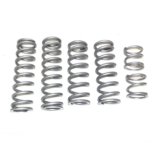 Polaris RZR XP 4 900 Spring Kit For Walker Evans Shocks