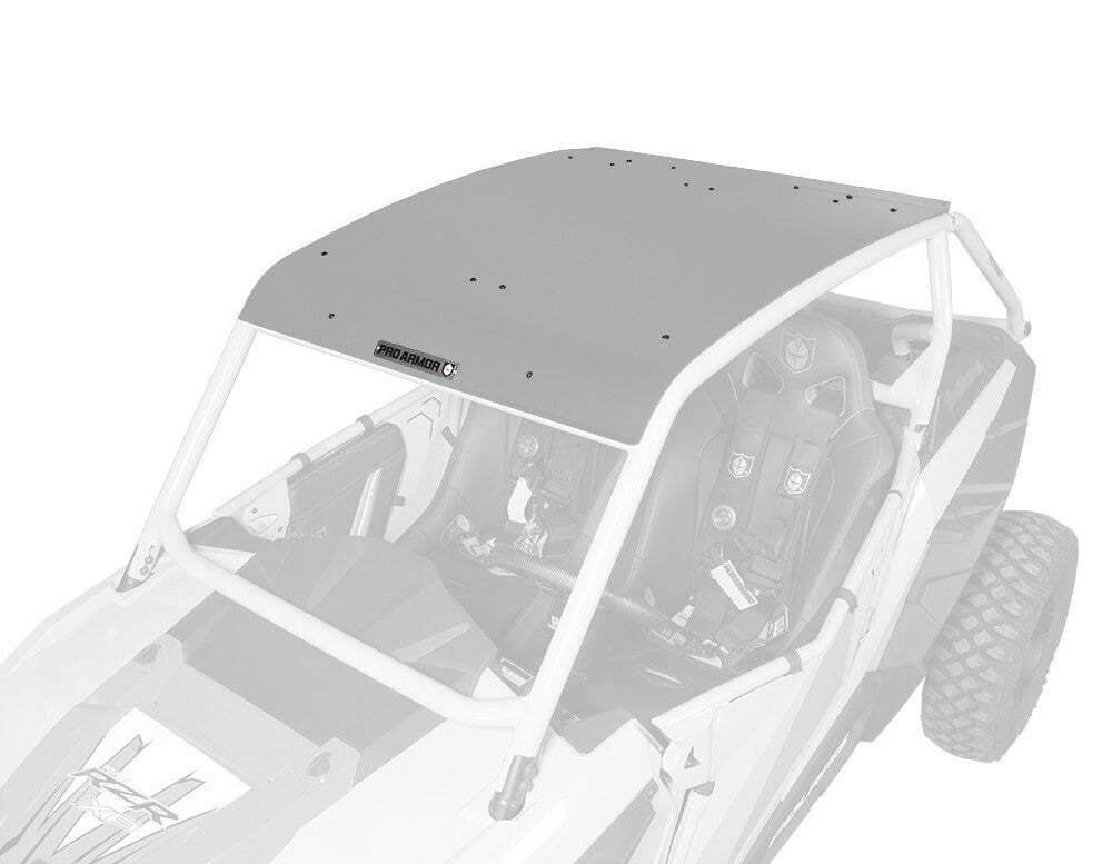 Asylum Roof Titanium Metallic